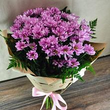 Букет цветов из:  Хризантемы #REPLACE_PRED# Водный