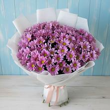 Букет цветов из:  Хризантемы в Водный