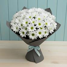 Букет цветов из:  Хризантемы #REPLACE_PRED# Водный