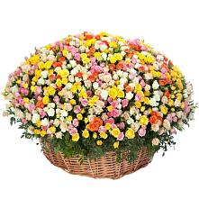 Премиум букет из: Розы #REPLACE_PRED# Водный