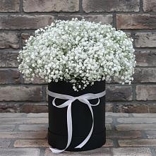Цветочная композиция из Гипсофила в шляпной коробке #REPLACE_PRED# Водный