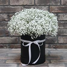 Цветочная композиция из Гипсофила в шляпной коробке в Водный